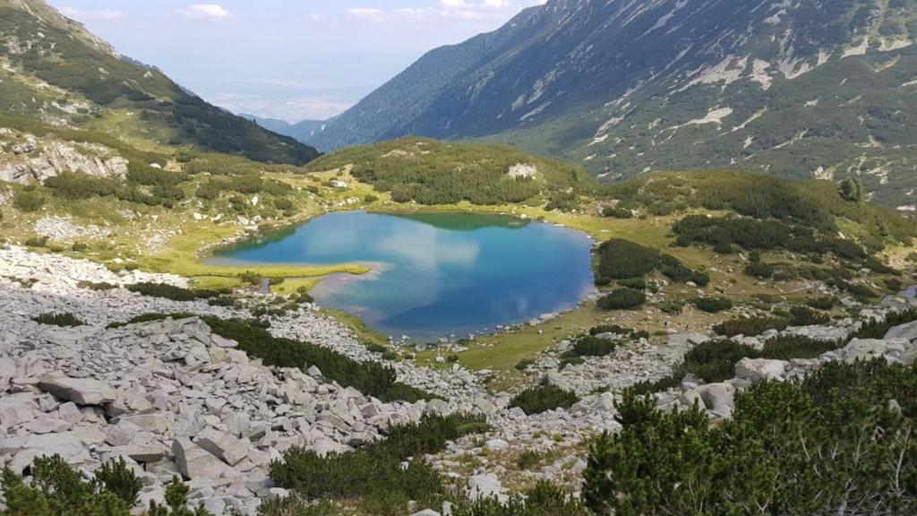Pirina Club Hotel Bansko Zewnętrze zdjęcie