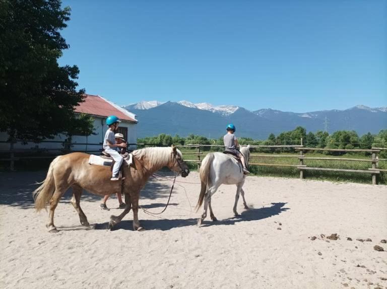 Pirina Club Hotel Bansko Zewnętrze zdjęcie