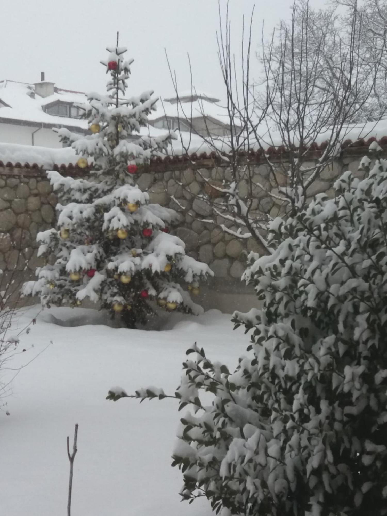 Pirina Club Hotel Bansko Zewnętrze zdjęcie